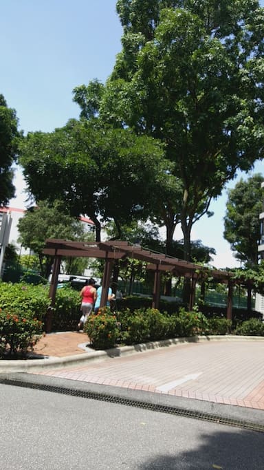 Matured trees lining jogging track, driveways and shaded playgrounds
