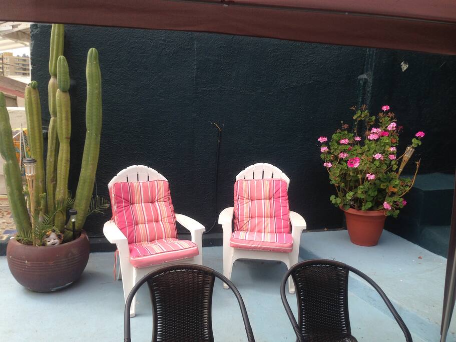 Terraza