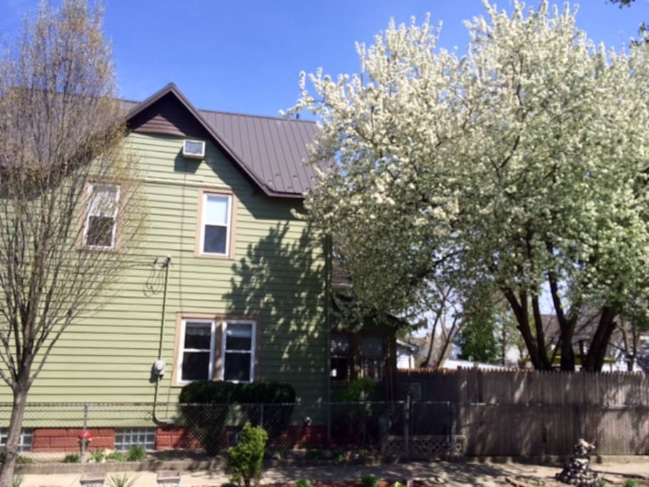 Side view of home and backyard.