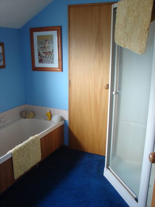 Guest bathroom