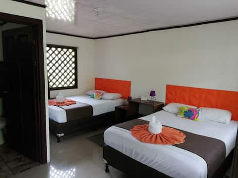 Aracari Garden Hostel - Twin room with A/C