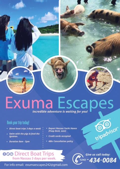 Let us arrange your Exuma escursion to swim with the Wild pigs!