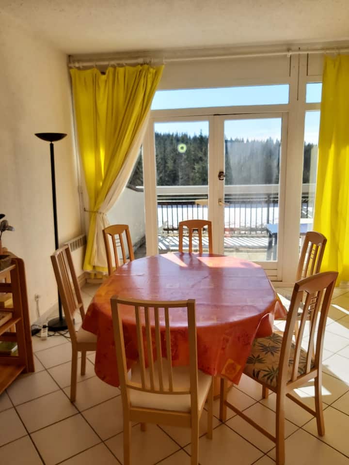 Large studio with terrace Apartments for Rent in VillarddeLans