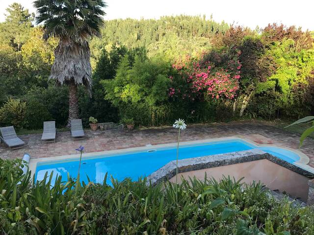 Quinta da Fonteireira 8p gallery image 3