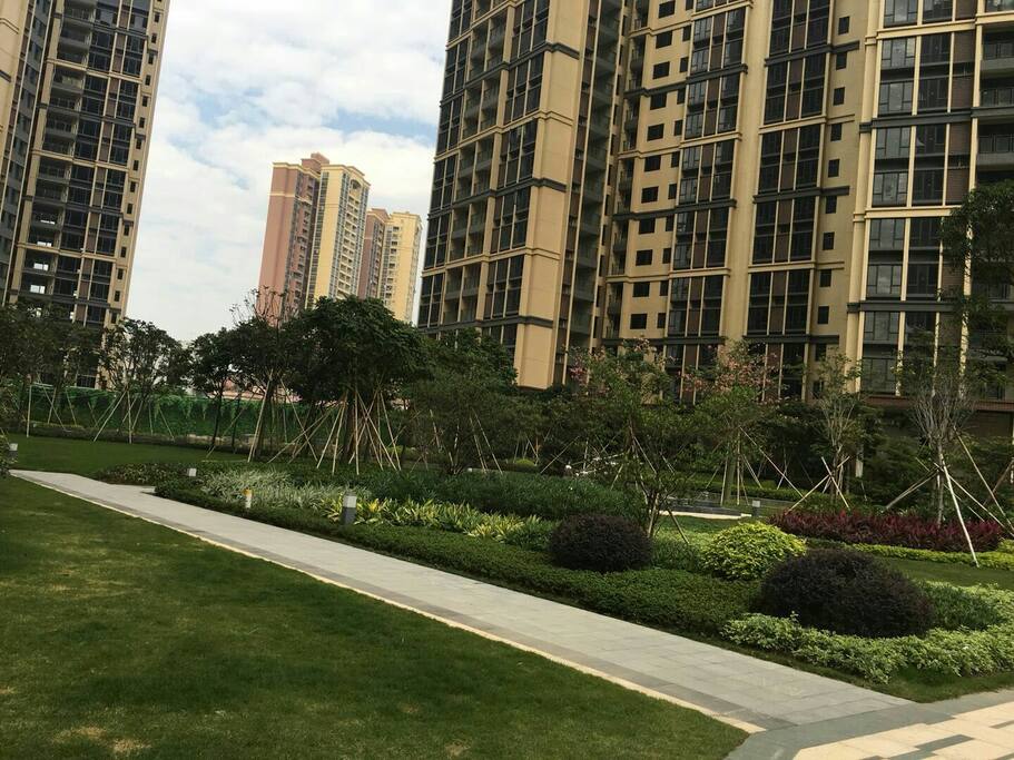小区绿化