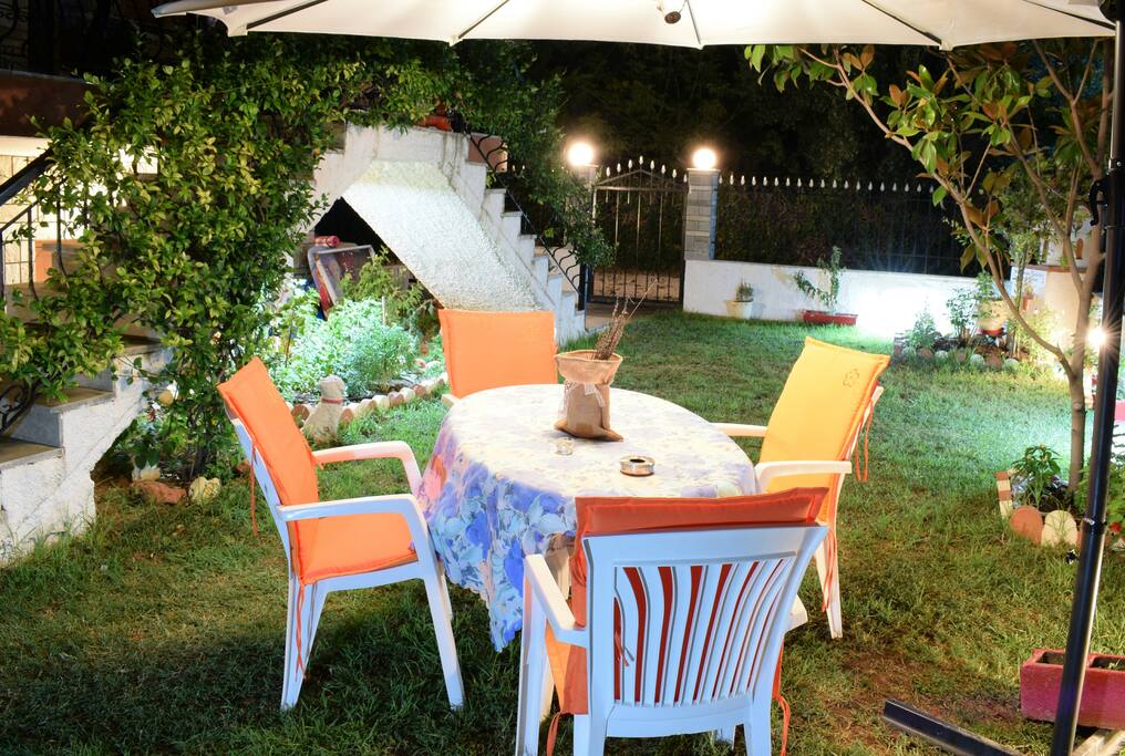 Garden by night 1/2