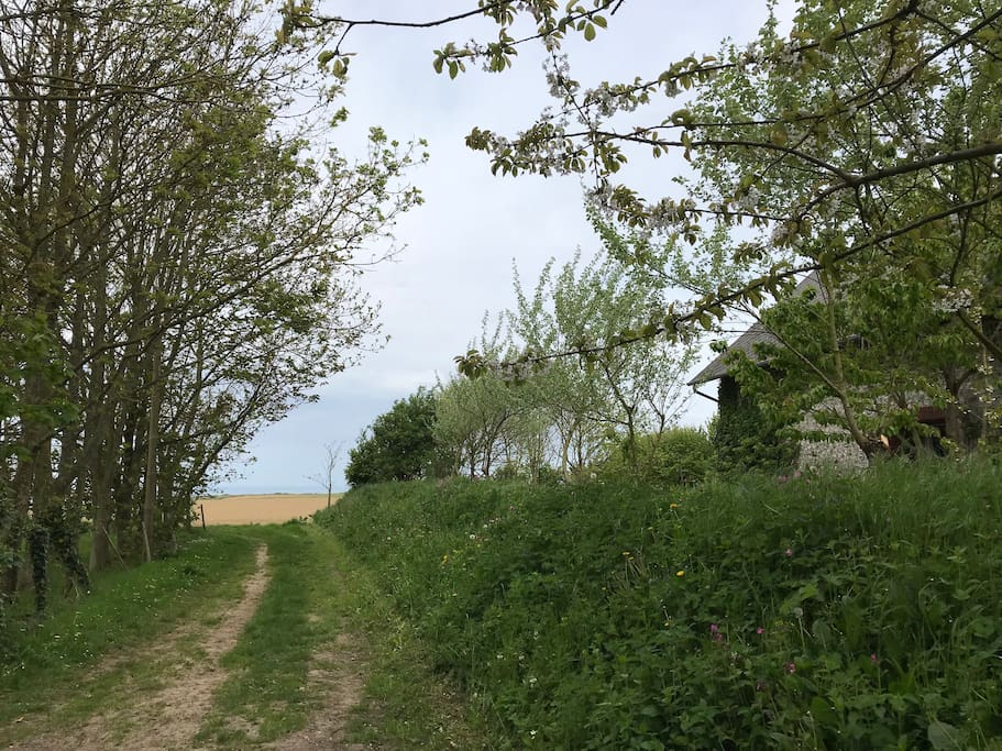 Early spring view on land & sea/ horizon