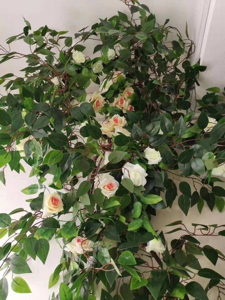 Good Night晚安民宿 花语 建业凯旋广场 100寸投影大床房 可烹饪 Apartments For Rent In Nanyang Henan China