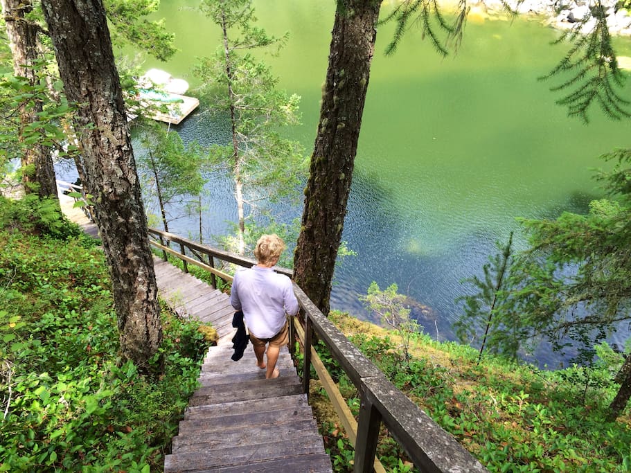 Secretcovetreehouse Cottage On Cliff With Hot Tub Guesthouses