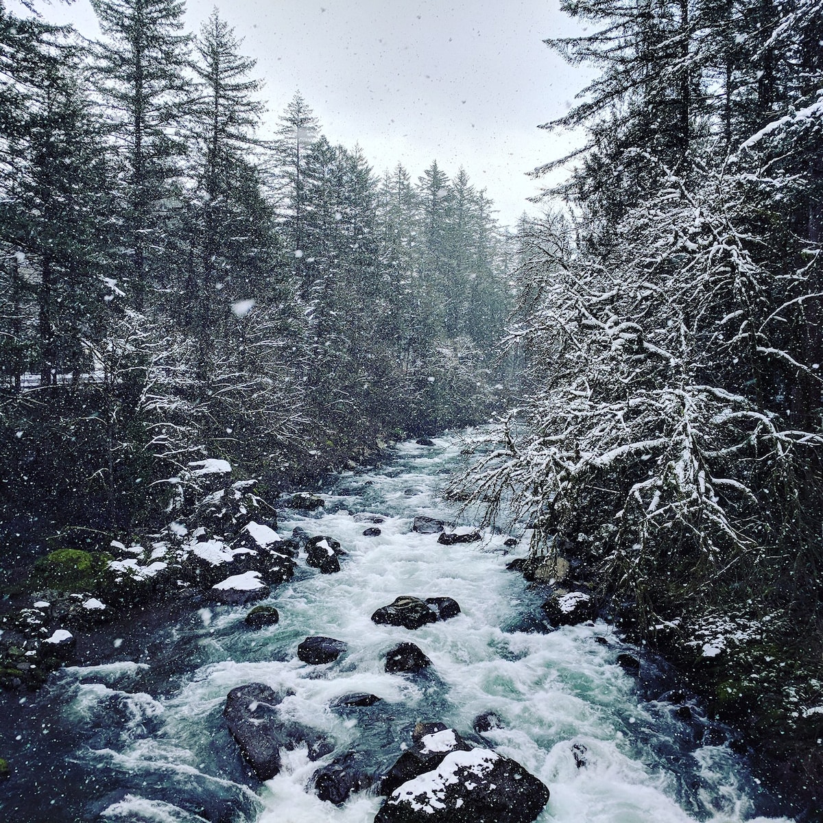 Snowflakes fall gently over a flowing river, surrounded by evergreen trees and snowy branches. The water cascades over smooth rocks, creating ripples and a soft, soothing sound in the serene winter landscape.