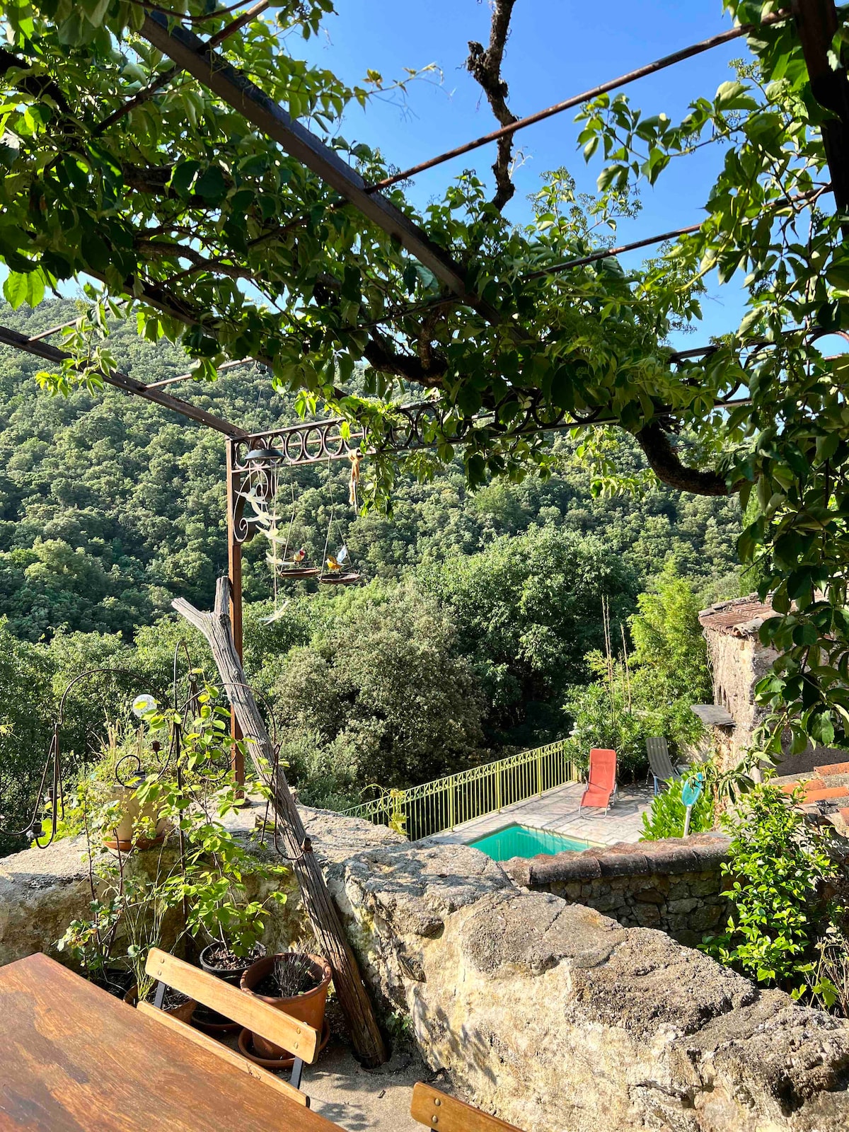 A view from a terrace, framed by greenery, reveals a private pool at a lower level. Surrounding hills covered in dense foliage create a serene backdrop. Wooden furniture is visible, adding to the outdoor ambiance.