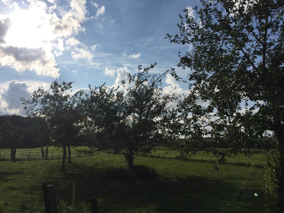 Uitzicht vanaf het terras