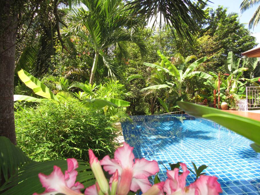 et côté jardin