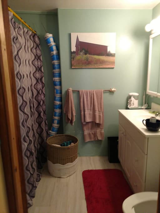 bathroom shared with me and other guests