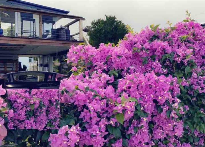 Top 12 PetFriendly In Rockhampton, Australia Updated