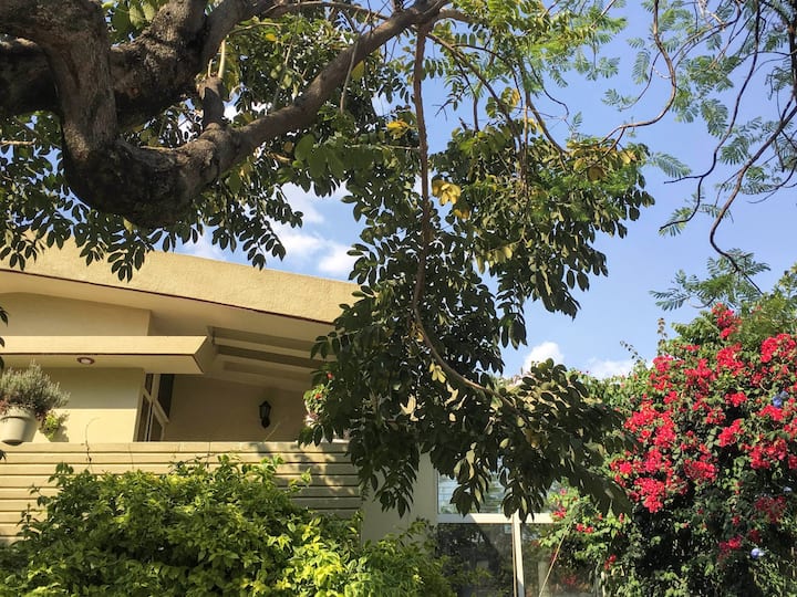 Large, Serviced, 5 BR House in Chapalita/Expo Area Houses for Rent in