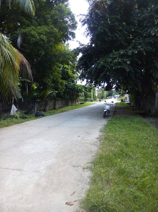 F Tayko Street Poblacion Vallehermoso, Negros Oriental 6224