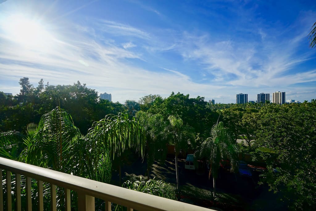 The view from the terrace