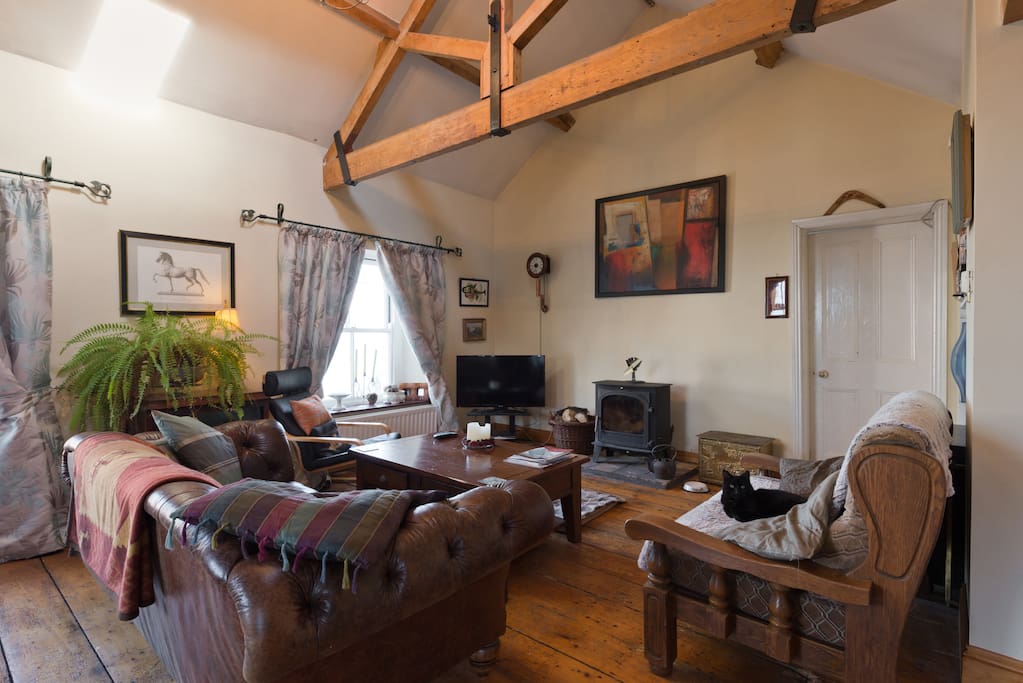 Wood Burning Stove