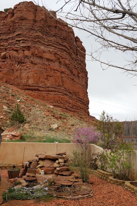 The vermilion cliffs directly behind the backyard, home to native plants, shrubbery, cactus. As well as a variety of birds, squirrels, deer, native reptiles, insects, arachnid.