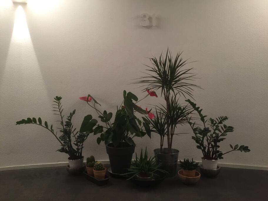 Hall at the 31st floor