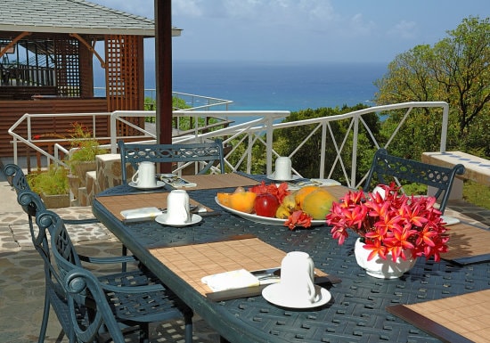 An outdoor dining area is set with a large table featuring plates, utensils, and a centerpiece of fresh fruit and flowers. The backdrop presents a scenic view of the ocean, framed by lush greenery and a distant structure with a porch.