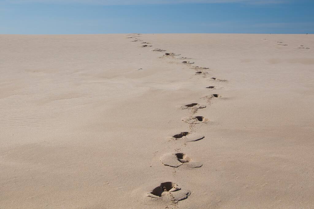 Pristine dunes, long walks on the white sanded beach...