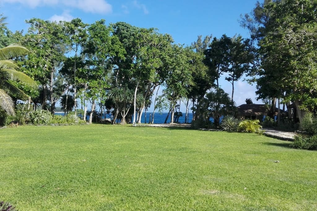 Front yard leading down to ocean