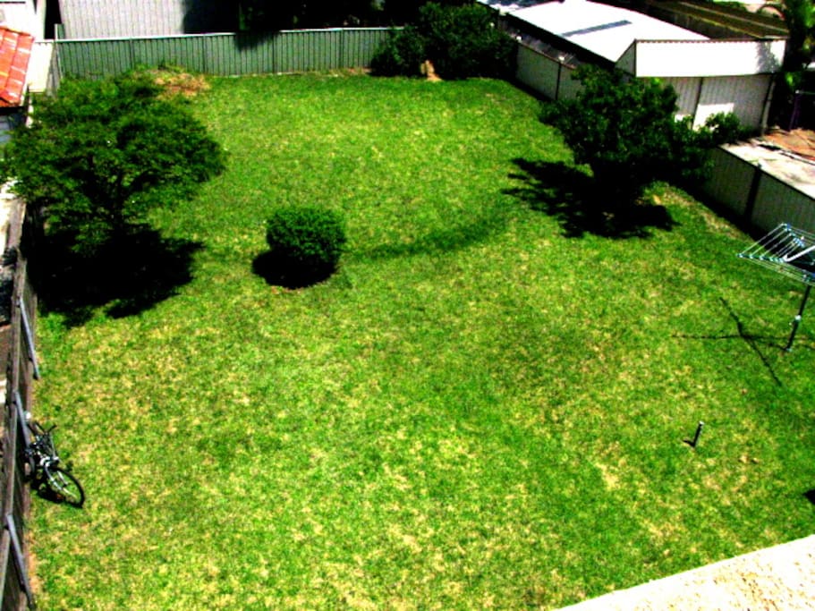 Large Backyard