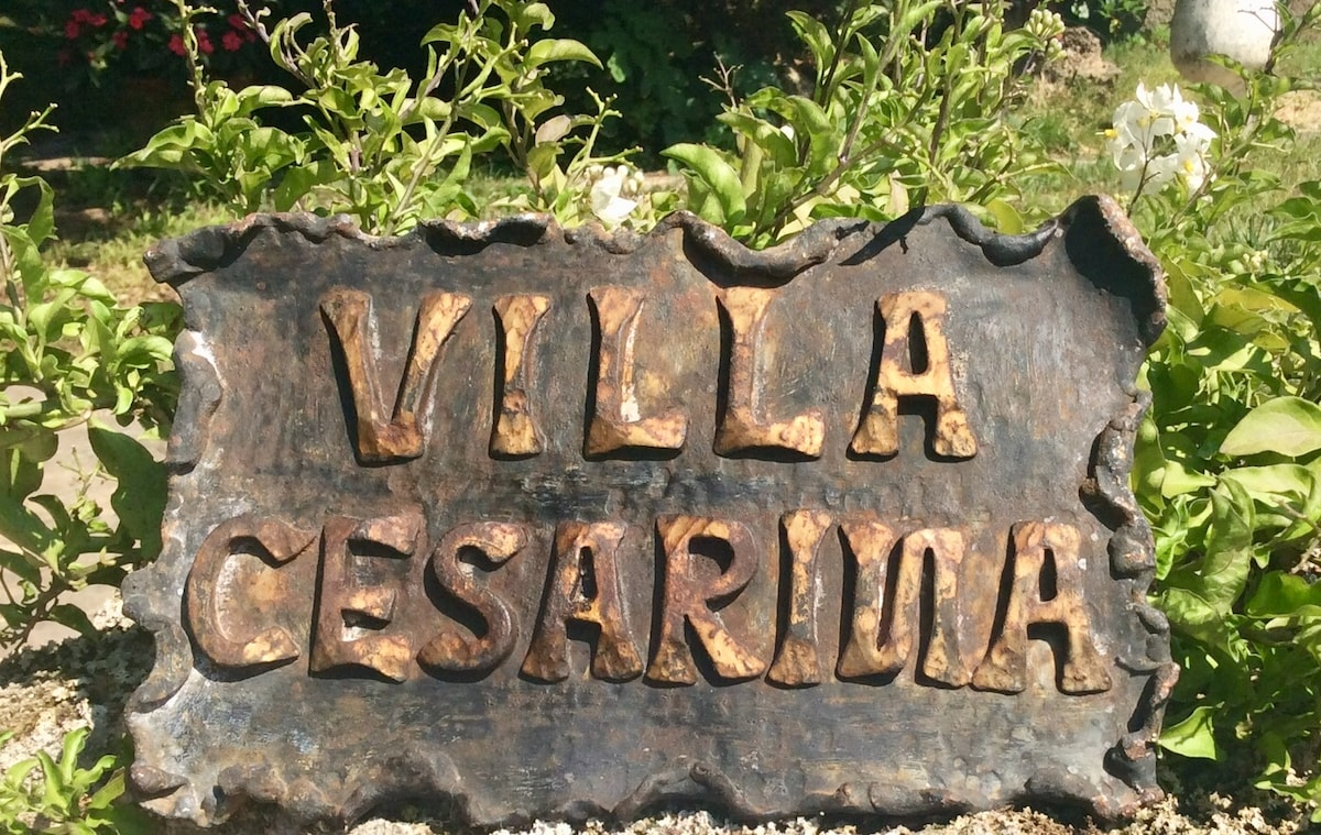 A weathered sign reading 'VILLA CESARINA' is prominently displayed amidst lush greenery. The letters are crafted in a rustic style, demonstrating a sense of charm and character. Surrounding plants feature vibrant foliage, enhancing the inviting atmosphere of the villa's entrance.