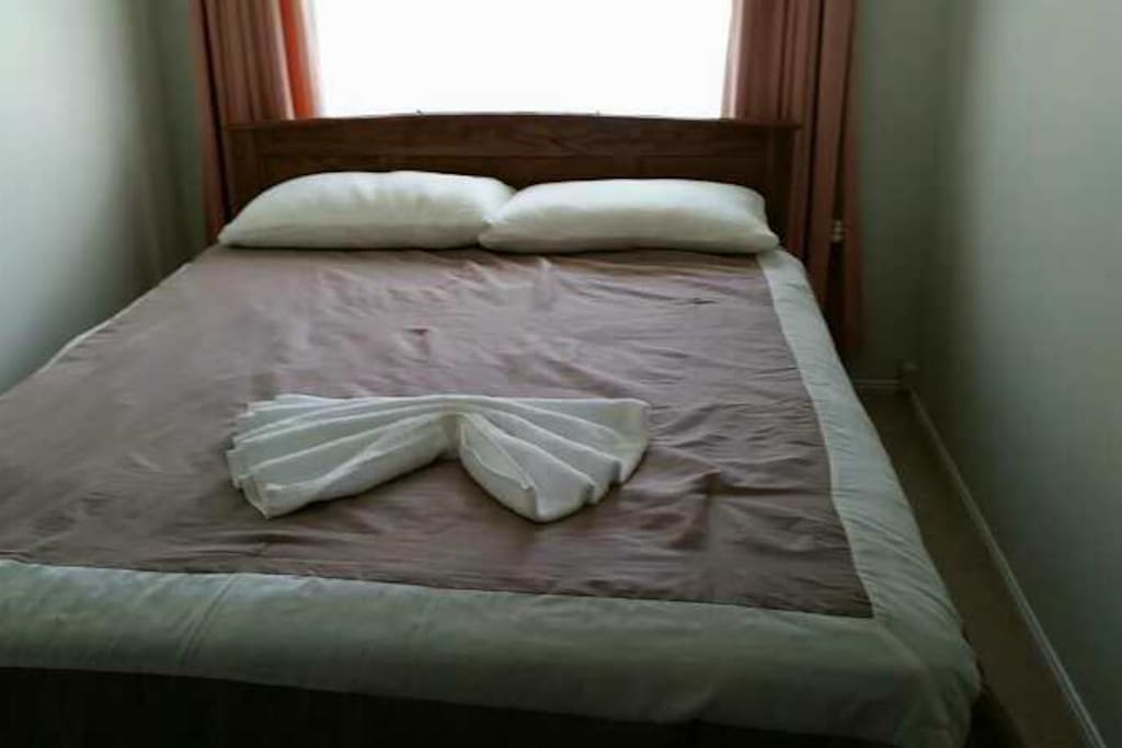 Bed Bug Pictures Size Mins Bed Bug Pictures Size Mins