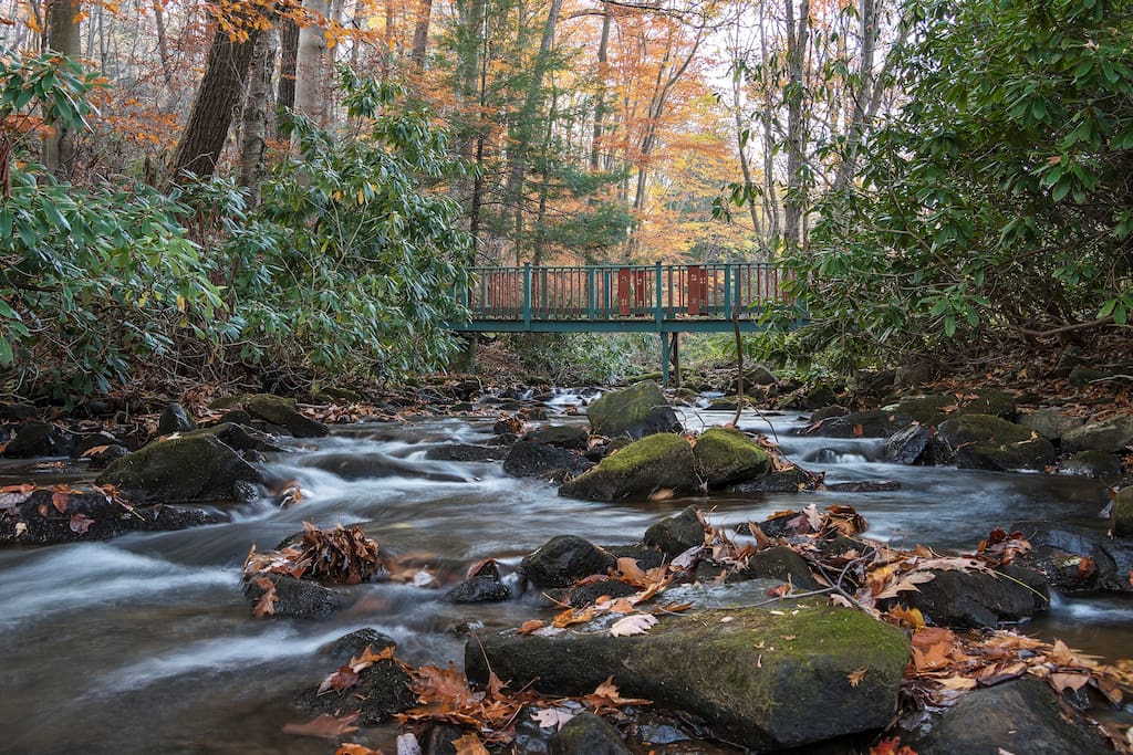 Bridge leading to cottage