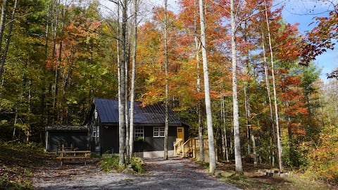 Beautiful Cabin with detached Studio in the woods!