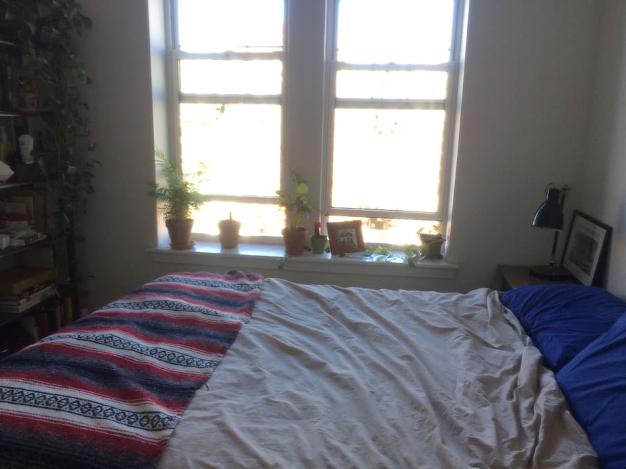 Bedroom with ton of plants. Will be installing curtains before your arrival.