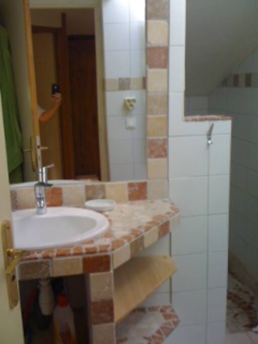 sdbain avec douche spacieuse