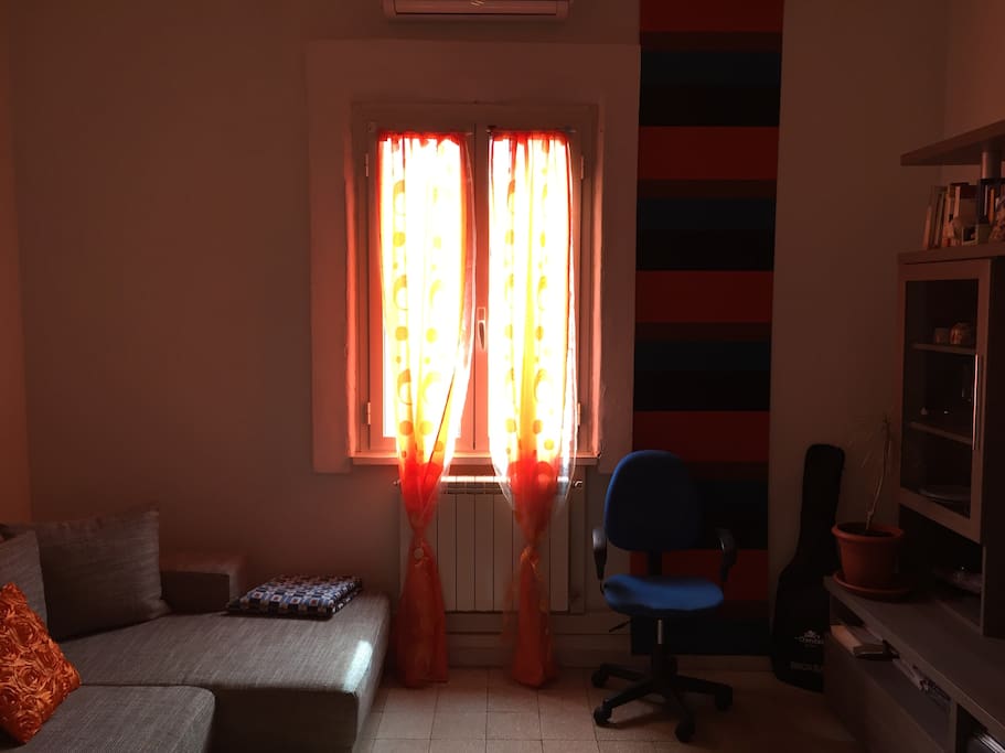 The window