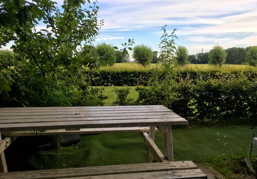 Tuin