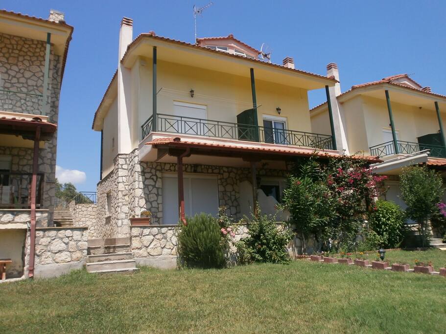 View from the garden