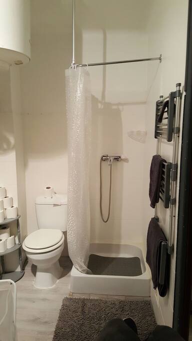 la salle de bain avec à votre disposition du savon, papier toilette ainsi que des serviettes de douche