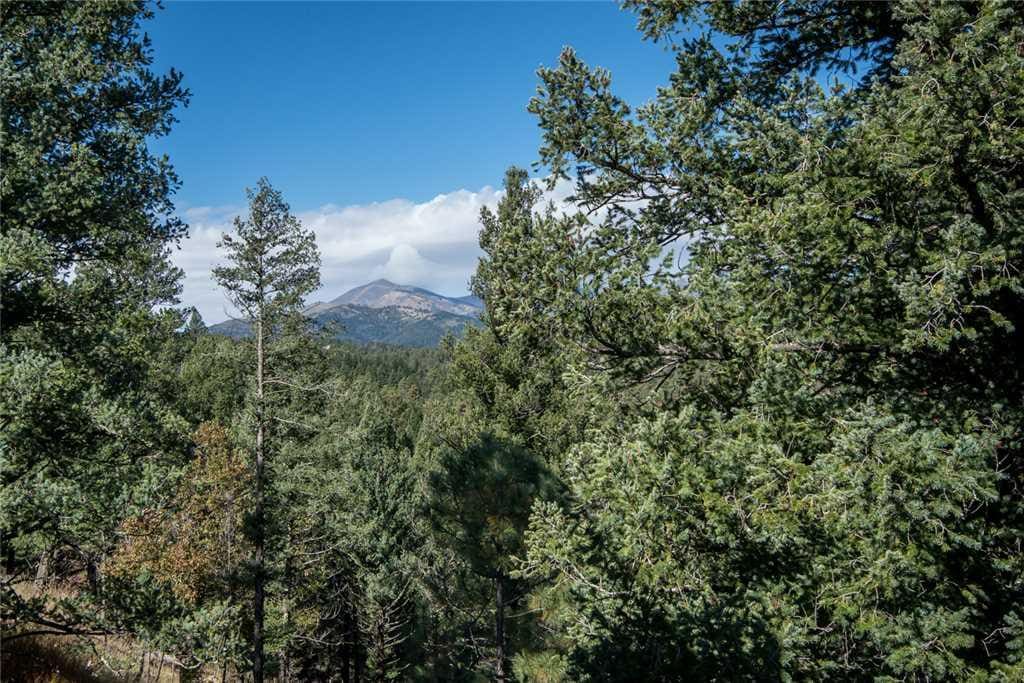 Mountain Charm - This upscale cabin has fantastic views and plenty of amenities.