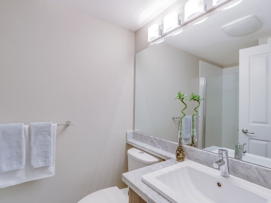 Guest bathroom