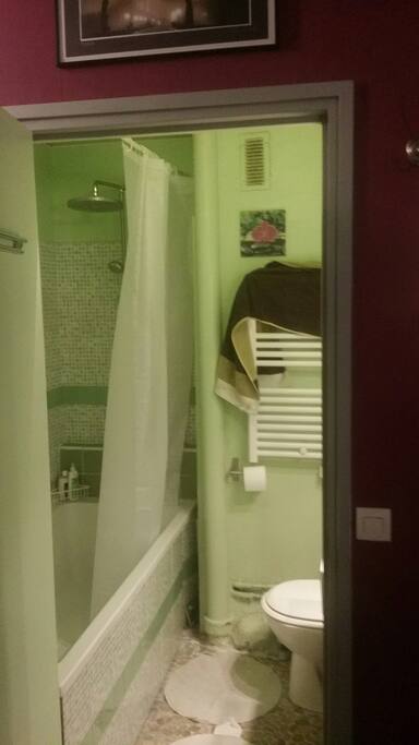 Salle de bain toilette avec baignoire