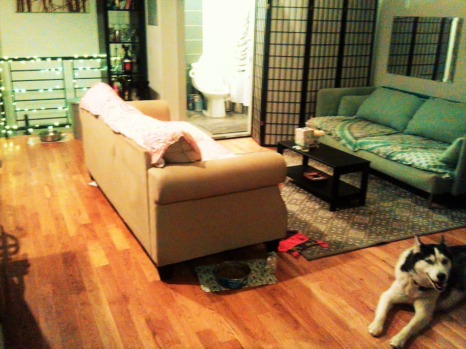 Very Bushwick livingroom ... Capone our Husky approves :)