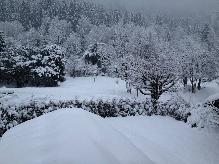 Le jardin sous la neige