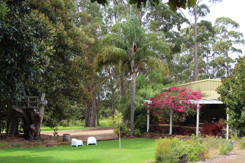 Amon-Ra at Ibizan Wines - lovely lawn and garden to enjoy