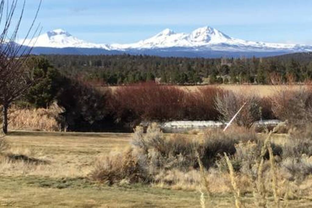 View from front of guest cabin