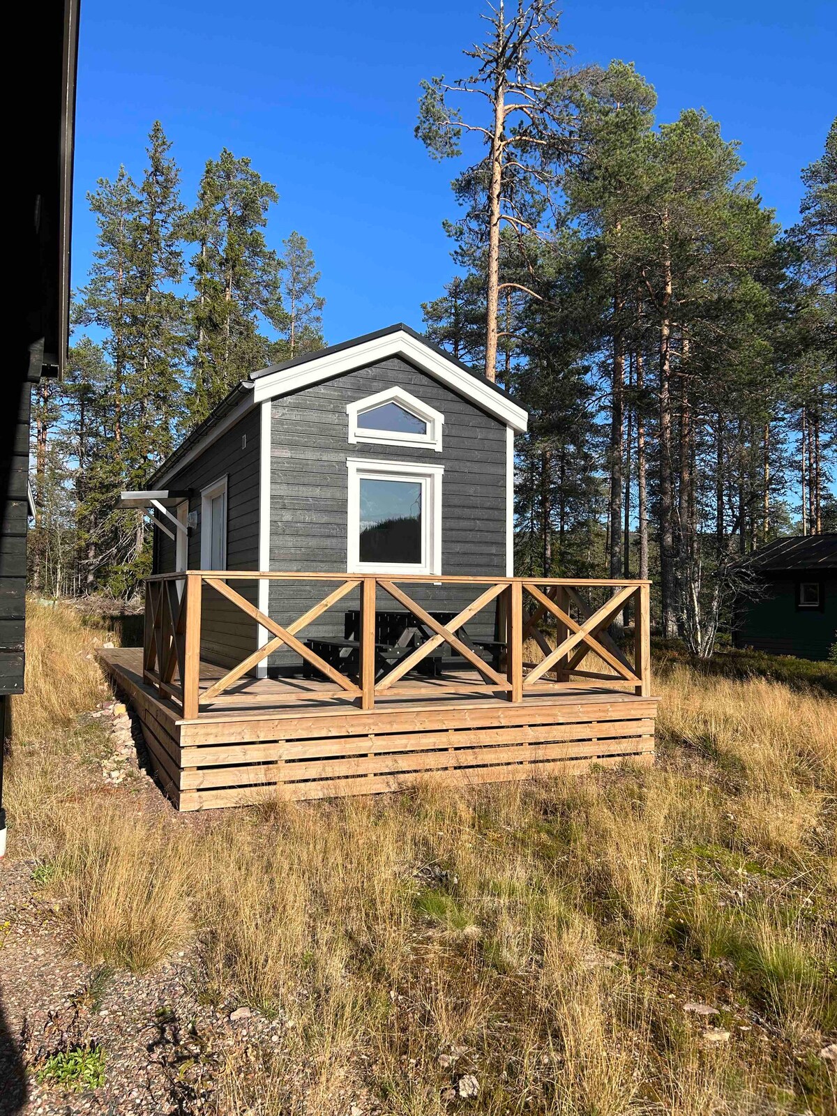 A compact cabin is positioned among tall trees, featuring a wooden deck with seating. The exterior exhibits a dark color scheme with white trim and a front window, creating a cozy appearance amidst natural surroundings.