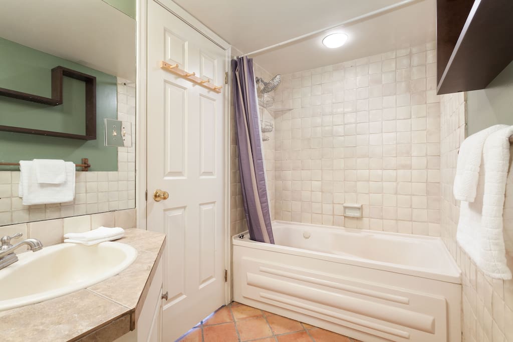 Jet bath with shower over bath