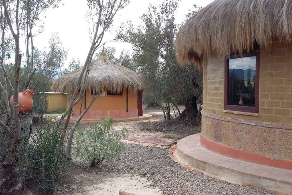 Vista