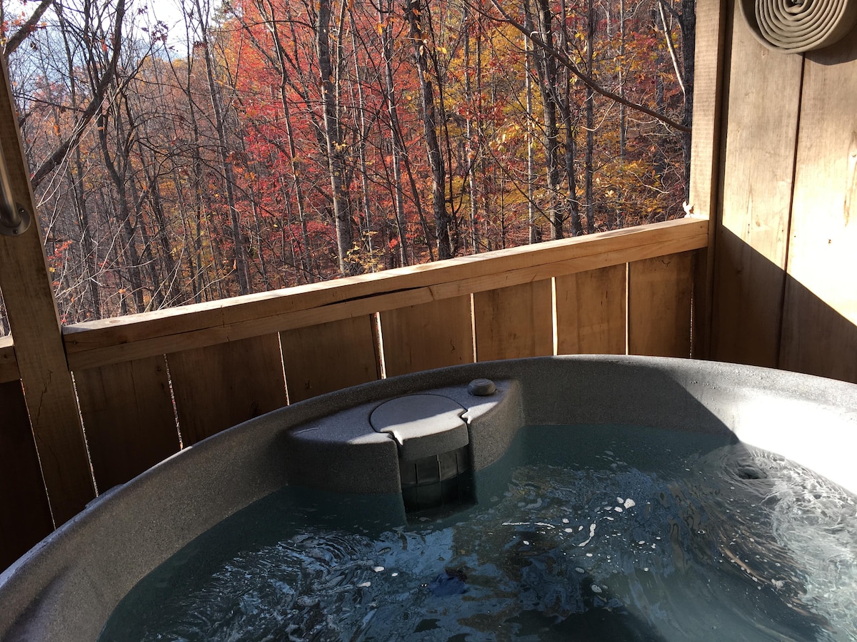 Bearidise Hot Tub, Fireplace, Fire Pit, WiFi, Pet